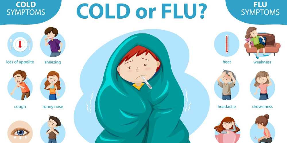 All You Need To Know About The Common Cold Causes Symptoms