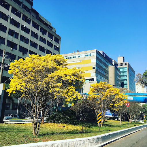 Clinical Hospital FMUSP