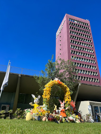Instituto Dante Pazzanese de Cardiologia